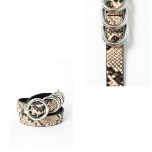 Snakeskin Pattern Belt with Silver Buckle